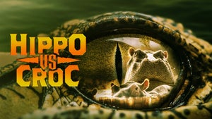 Hippo vs. Croc on Nat Geo Wild HD - past program