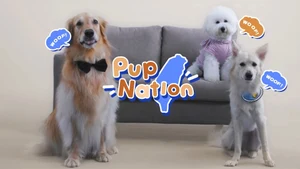 Pup Nation on Taiwan Plus - past program