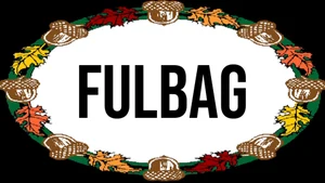 Fulbag on DD India - past program