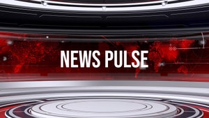 News Pulse on Times NOW - past program
