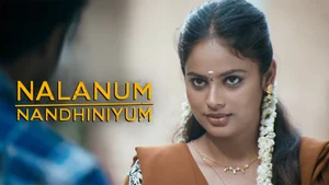 Nalanum Nandhiniyum on Colors Tamil HD - past program