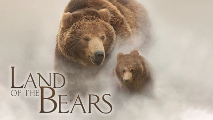 Land of the Bears on Romedy Now HD - past program