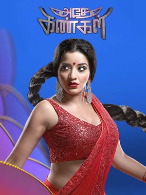 Adhey Kangal Episode 255 on Colors Tamil HD - future program