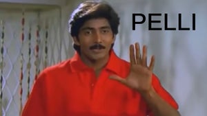 Pelli on Sun Gemini Life - live program