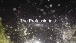 The Professionals on NHK World Japan