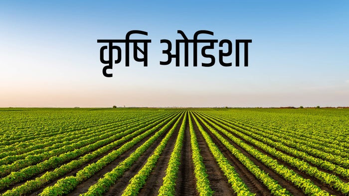Krushi Odisha on JioTV