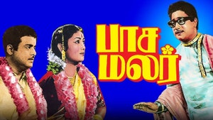 Pasamalar on Raj Digital Plus