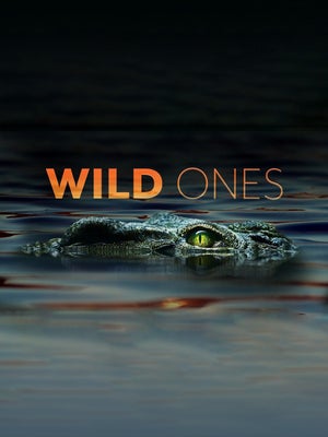 Wild Ones Episode 3 on INWILD - past program