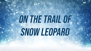 On The Trail Of Snow Leopard on Animal Planet Hindi