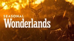 Seasonal Wonderlands on Sony BBC Earth SD - past program