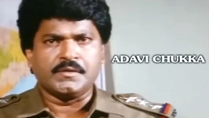 Adavi Chukka on Sun Gemini Movies HD - live program