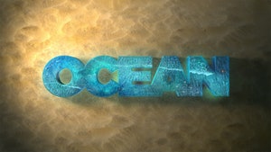 Ocean on Euro News - past program