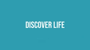 Discover Life on Anjan TV - past program