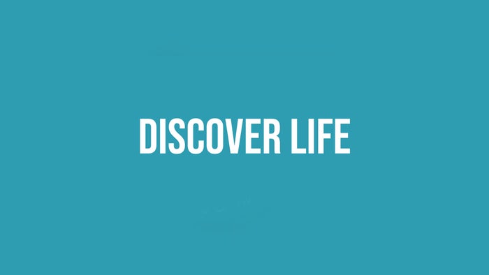 Discover Life on JioTV