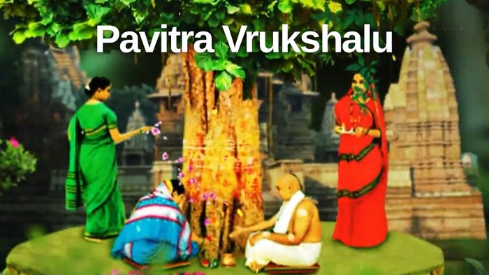 Pavitra Vrukshalu Episode No.2082 on JioTV