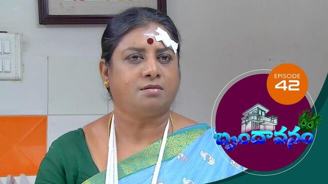 Brundavanam season 1 episode 42 on Sun NXT