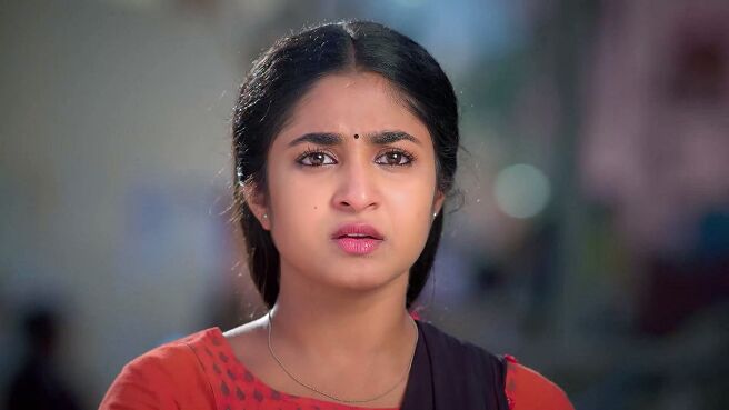 Chinnan Siru Kiliye season 1 episode 14 on Zee5