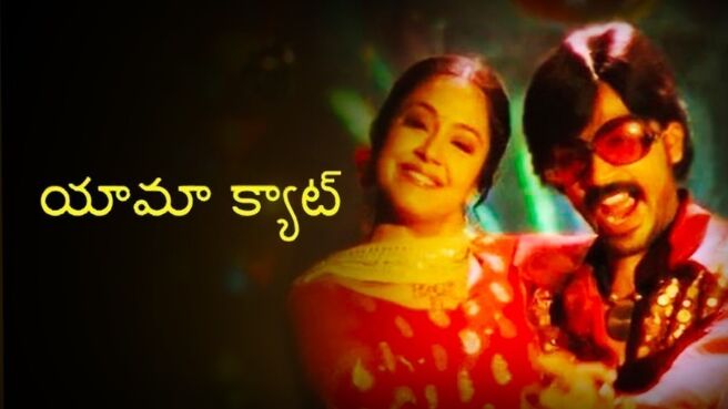 Yema Kedi on Zee5