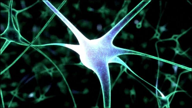 Morgan Freeman's Through the Wormhole season 2 episode 1 on Discovery Plus