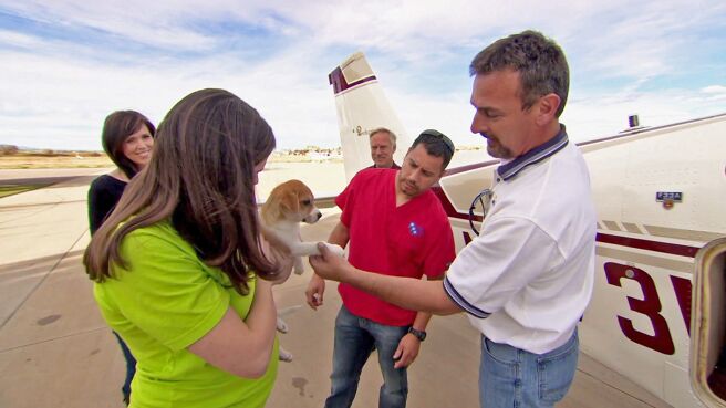 Dr. Jeff: Rocky Mountain Vet season 2 episode 4 on DiscoveryPlus