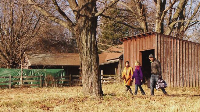 Treehouse Masters season 1 episode 3 on Discovery Plus