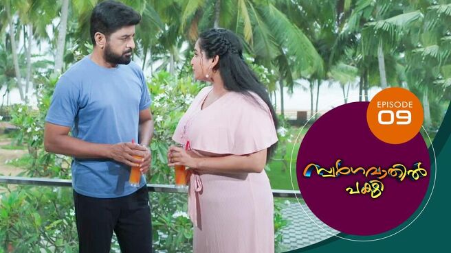 Swargavathil Pakshi season 1 episode 9 on Sun NXT