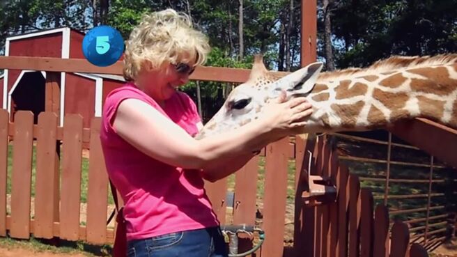 World’s Funniest Videos Top 10 Countdown season 1 episode 4 on Zee5