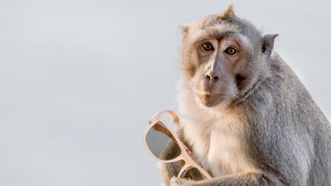 Planet Earth III season 1 episode 7 on Discovery Plus