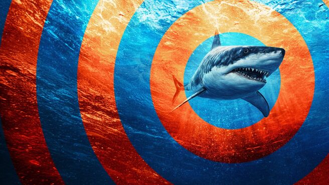 In the Eye of the Storm: Shark Storm on Discovery Plus