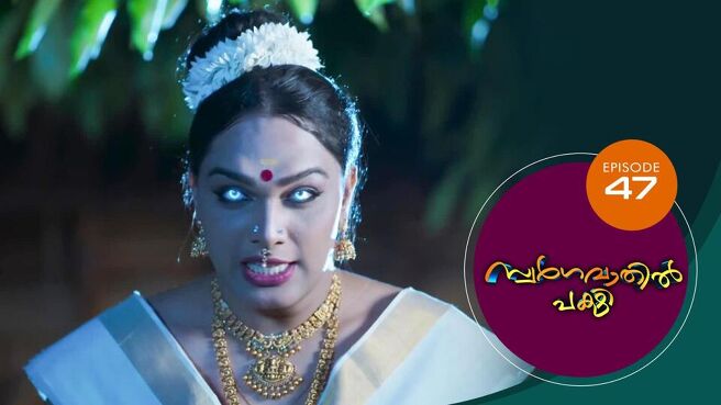 Swargavathil Pakshi season 1 episode 47 on Sun NXT