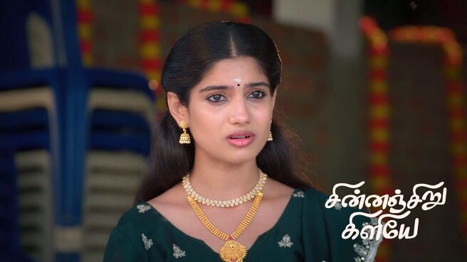 Chinnan Siru Kiliye season 1 episode 17 on Zee5