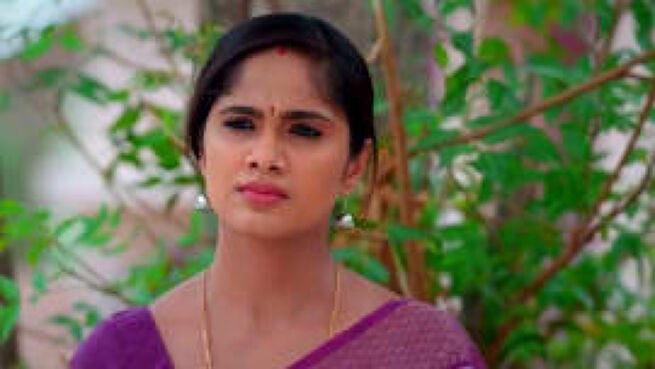 Vidhya No. 1 season 1 episode 14 on Zee5