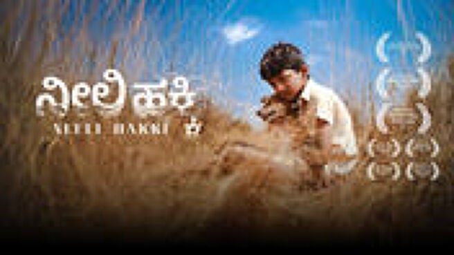 Neeli Hakki on Sun NXT