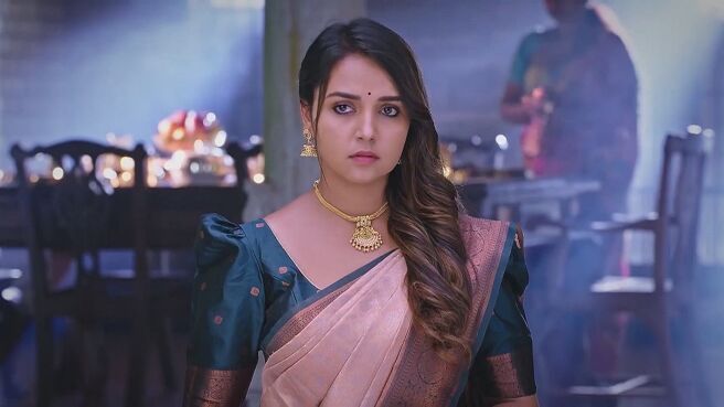 Annayya season 1 episode 17 on Zee5