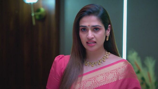 Ayali season 1 episode 24 on Zee5