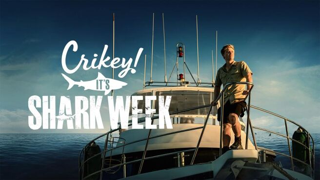 Crikey! It's Shark Week on Discovery Plus