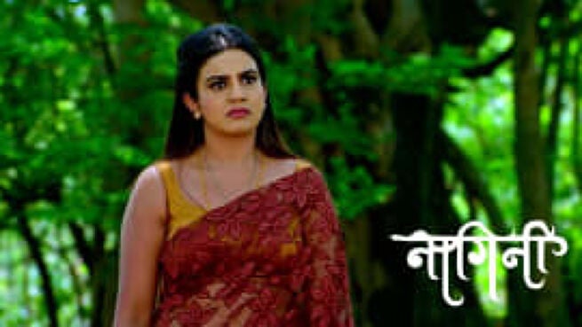 Nagini season 1 episode 177 on Zee5