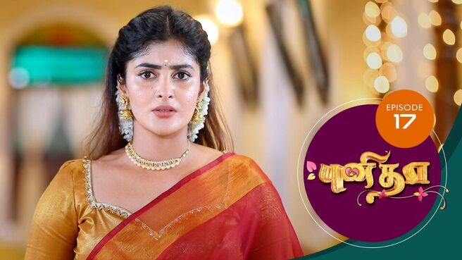 Punitha season 1 episode 17 on Sun NXT