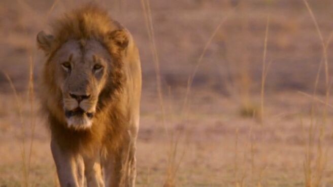 Episode 3 on Discovery Plus