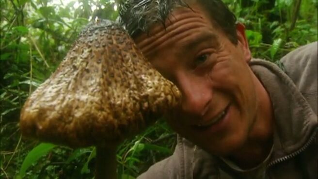Man vs. Wild season 1 episode 14 on Discovery Plus