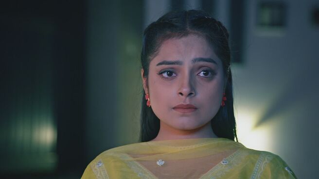 Kashni season 1 episode 22 on Zee5