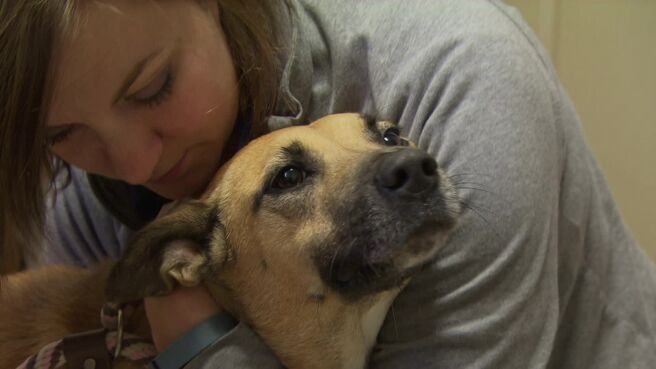 Episode 16 on Discovery Plus