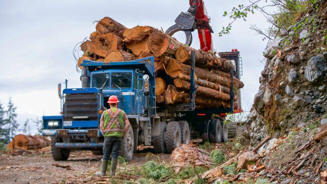 The Last Woodsmen season 1 episode 5 on Discovery Plus