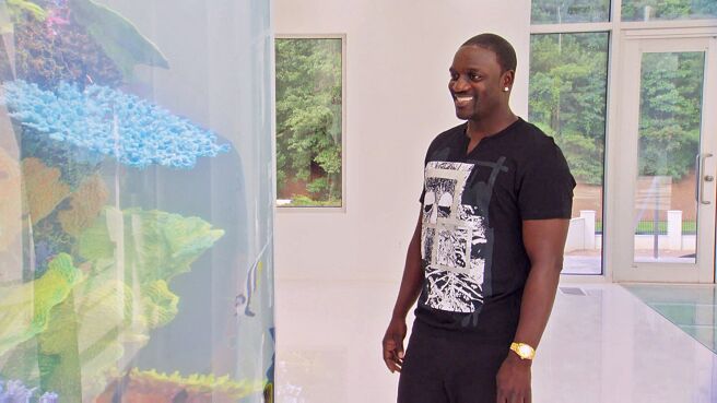 Tanked season 6 episode 15 on DiscoveryPlus