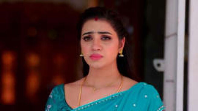 Meenakshi Ponnunga season 1 episode 247 on Zee5