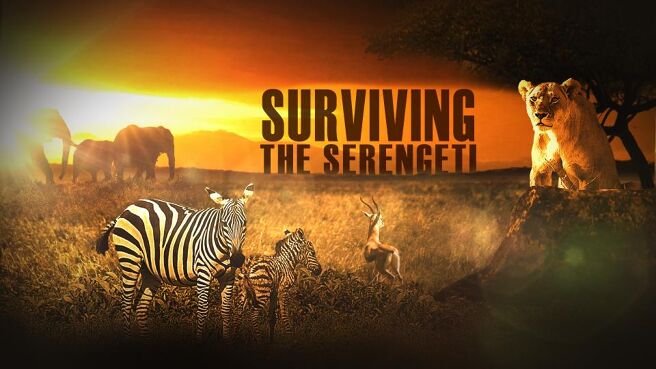Surviving the Serengeti on Discovery Plus