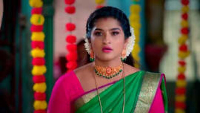 Meenakshi Ponnunga season 1 episode 24 on Zee5