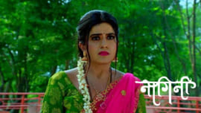 Nagini season 1 episode 173 on Zee5