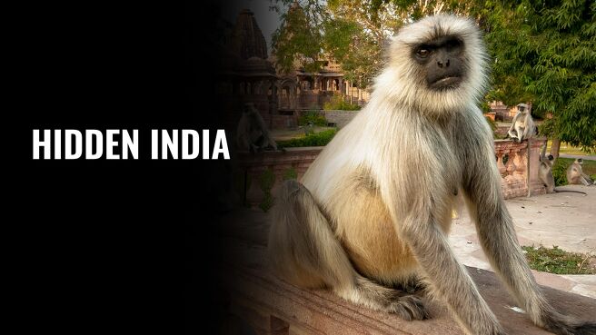 Hidden India on Sony LIV