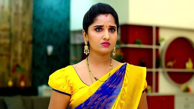 Kalyana Vaibhogam season 1 episode 1411 on Zee5